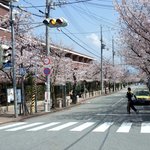 三田屋本店 - 行き方①阪急甲東園方面からだと学園花通りを通ります