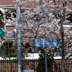 三田屋本店 - 行き方②春は桜満開になる学園花通り