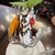 ナルシマ - 料理写真:
