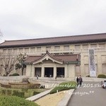 大山鶏と鮮魚 居酒屋 まいか - 