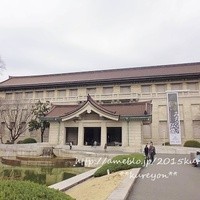大山鶏と鮮魚 居酒屋 まいか - 
