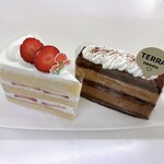 TERRA - 