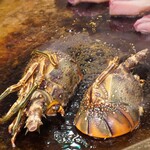 STEAKHOUSE NAKAMA - 