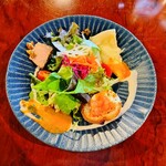 赤いトタン屋根の猫 - サラダ