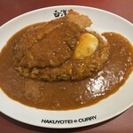 旨辛カレー専門店 白洋亭 - 