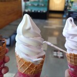 上河内SA 下り線 フードコート - 料理写真: