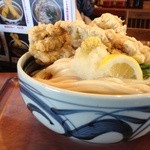 讃歌うどん はんげしょう - 鳥天ぶっかけ大盛り 横から