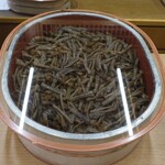 貝藤 - 