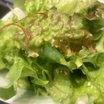 焼肉しゃぶしゃぶ いのうえ - サラダ