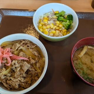 すき家_0