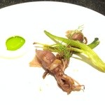 セララバアド - 「ホタルイカ　フェンネル　ヨーグルト」