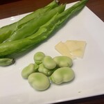 オステリア ジョイア - イタリア種生そら豆とペコリーノ トスカーノチーズ
