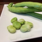 オステリア ジョイア - イタリア種生そら豆とペコリーノ トスカーノチーズ
