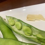 オステリア ジョイア - イタリア種生そら豆とペコリーノ トスカーノチーズ