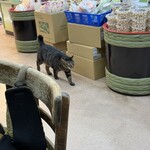 千本屋 - 