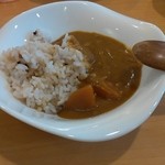 菜箸一膳 - カレー