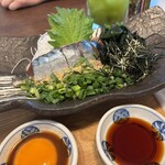 カツオスタンド - 