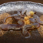 神楽坂イカセンター - ゲソ刺しは醬油をかけるとグニュグニュ動きます