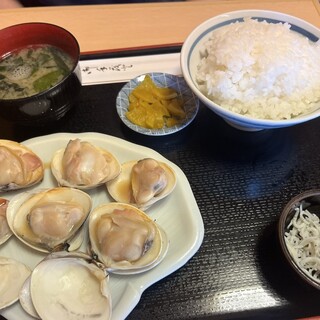 マイアミ貝新_0