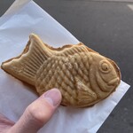 たい夢 - 