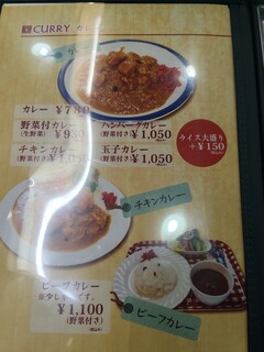 カレーショップ フジ - メニュー､カレー各種｡