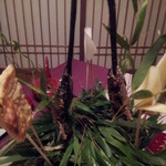 花仙庵 仙仁温泉 岩の湯 - 山女の塩焼き他２０１５，３