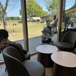 スターバックス コーヒー - 