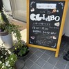 C.C.LABO - 