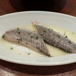 コシーナウチダ - 