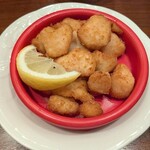 コシーナウチダ - 