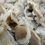 吉田のうどん とがわ - 