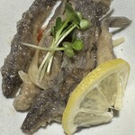 小川の魚 - 