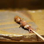 鮨 さいとう - 蛍烏賊