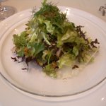 プルミエアベニュー - マグロのお刺身サラダ