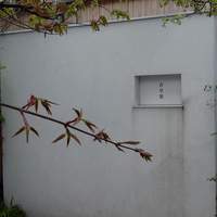 青草窠 - 