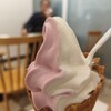 ペコちゃんmilkyドーナツ - ミックスソフト（コーン）480円