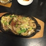 網元 - ホルモン鉄板