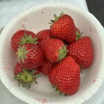 ツインズファーム - 