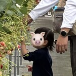 ツインズファーム - 