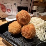 ハイコロトンボ - 