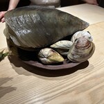 杦 - 