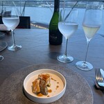 International cuisine subzero - 