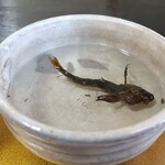鯉西 - かじかの骨酒