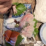 小川の魚 - 