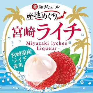 とりあえず吾平_1