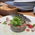 イタリア料理 Ripartenza - 料理写真: