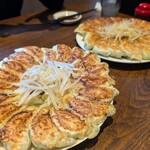 むつぎく - 