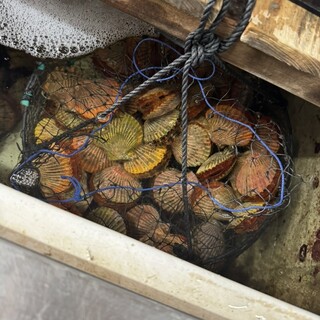 萩の茶屋 - 料理写真: