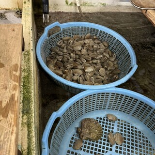 萩の茶屋_1