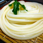 むぎの里 - 料理写真:もりうどん 一枚(¥550)